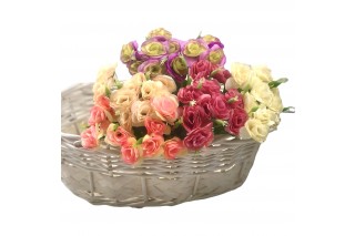 Bukiet różyczek sztucznych o wys. 30 cm, 10 główek. Występuje w kolorze: różowym, kremowym, białym, kremowo-różowym i fioletowo-zielonym.