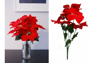 Gwiazda betlejemska 5 kwiatów - czerwona