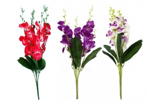Bukiet kwiatów - storczyk 62 cm
