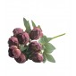 Bukiet  10 kwiatów, wys. 45 cm, śr. główki- 6 cm; kolory: rudy, bordowy, łososiowy, blady róż, jasny z odcieniem fioletu .